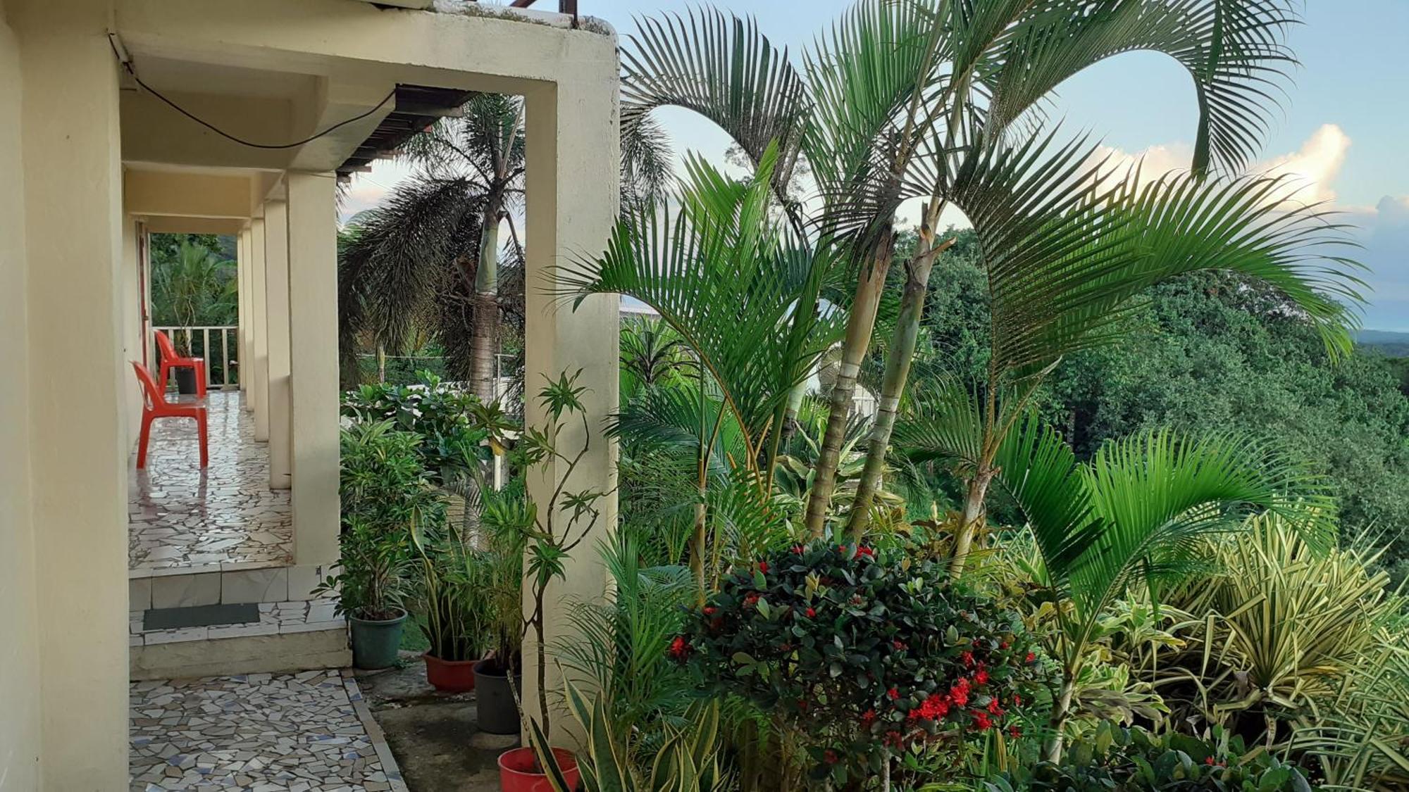 Dave Parker Eco Lodge Hotel Apia Esterno foto