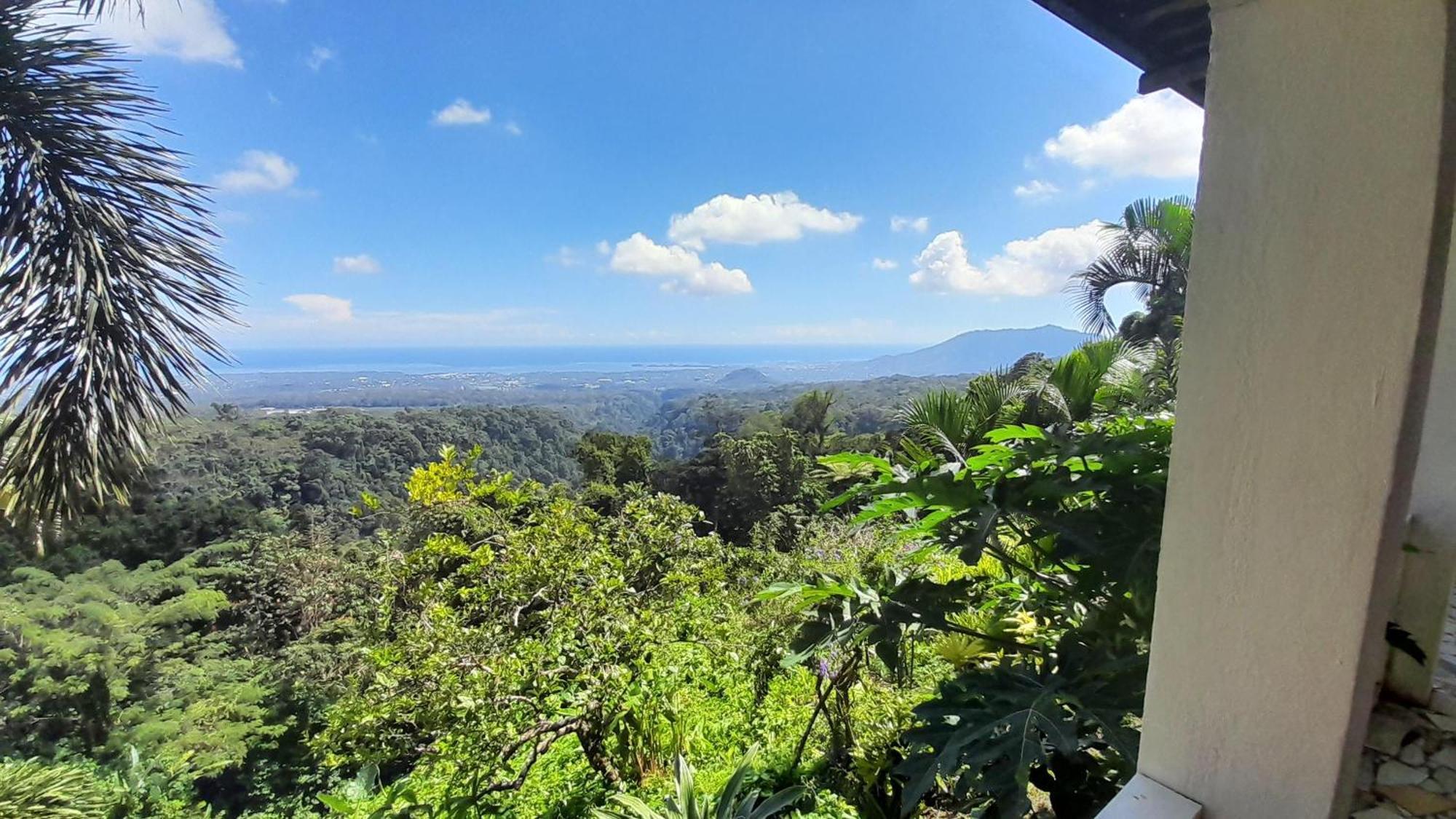 Dave Parker Eco Lodge Hotel Apia Esterno foto