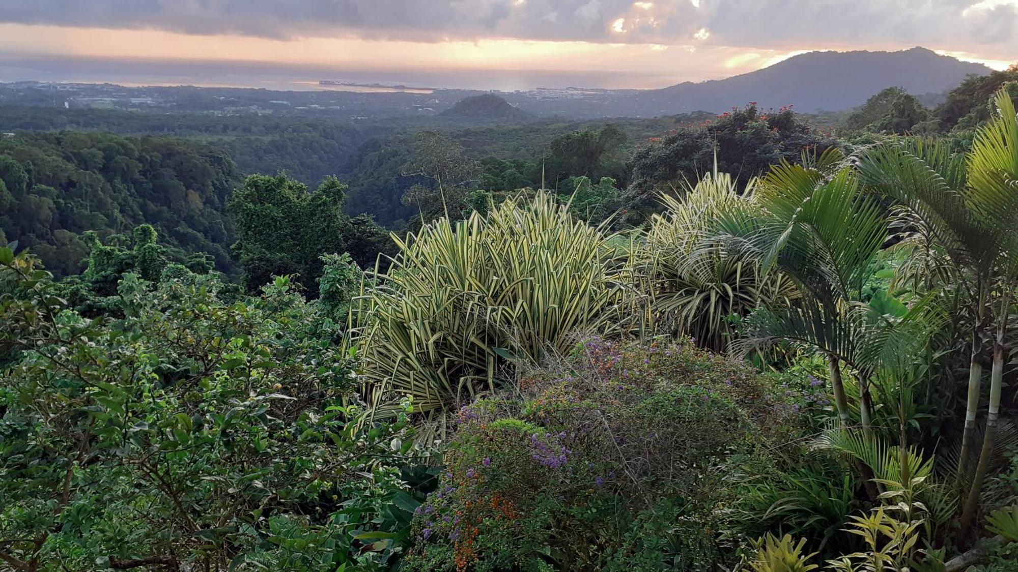 Dave Parker Eco Lodge Hotel Apia Esterno foto