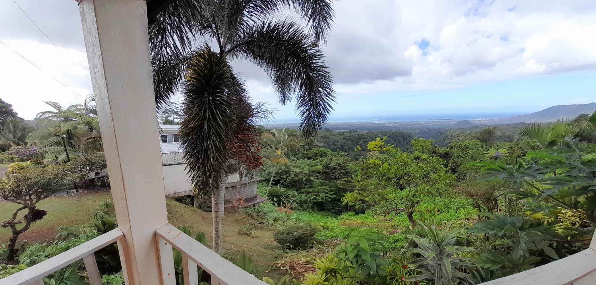 Dave Parker Eco Lodge Hotel Apia Esterno foto
