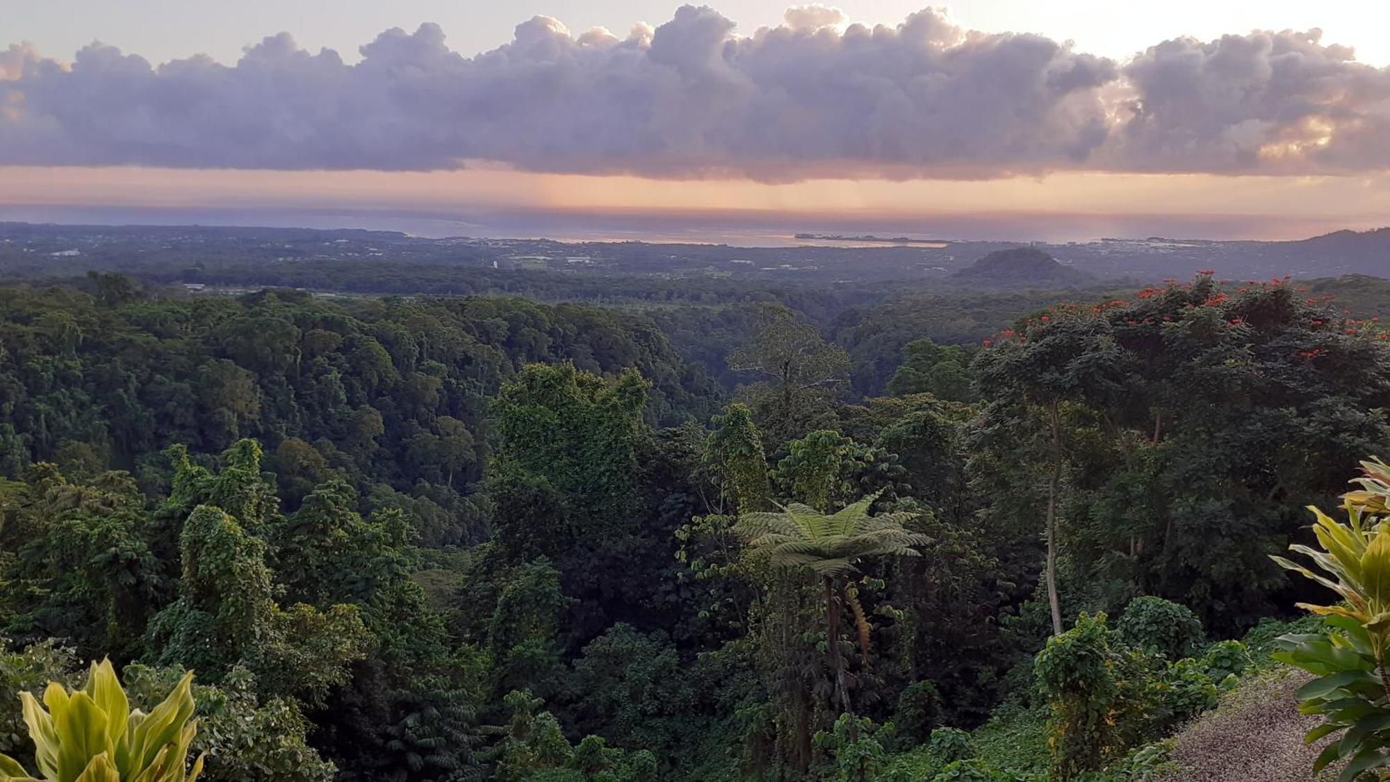Dave Parker Eco Lodge Hotel Apia Esterno foto