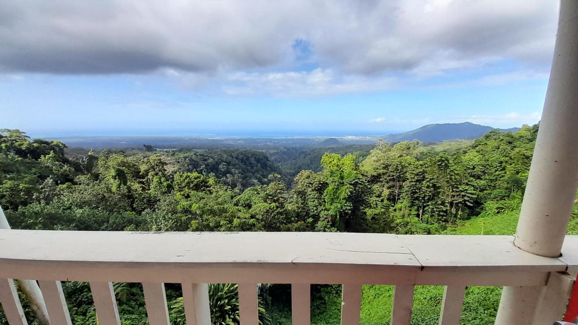 Dave Parker Eco Lodge Hotel Apia Esterno foto
