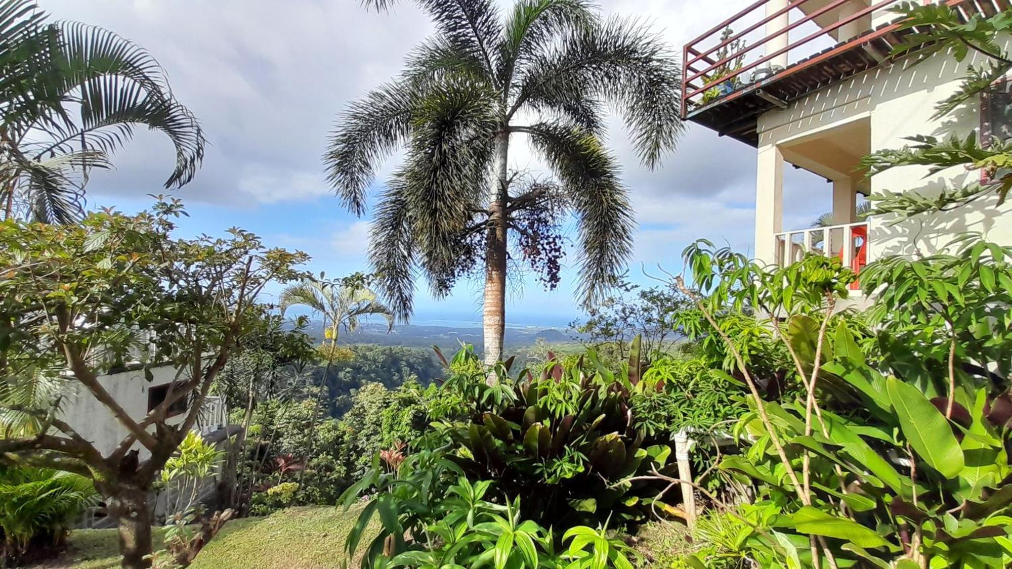 Dave Parker Eco Lodge Hotel Apia Esterno foto