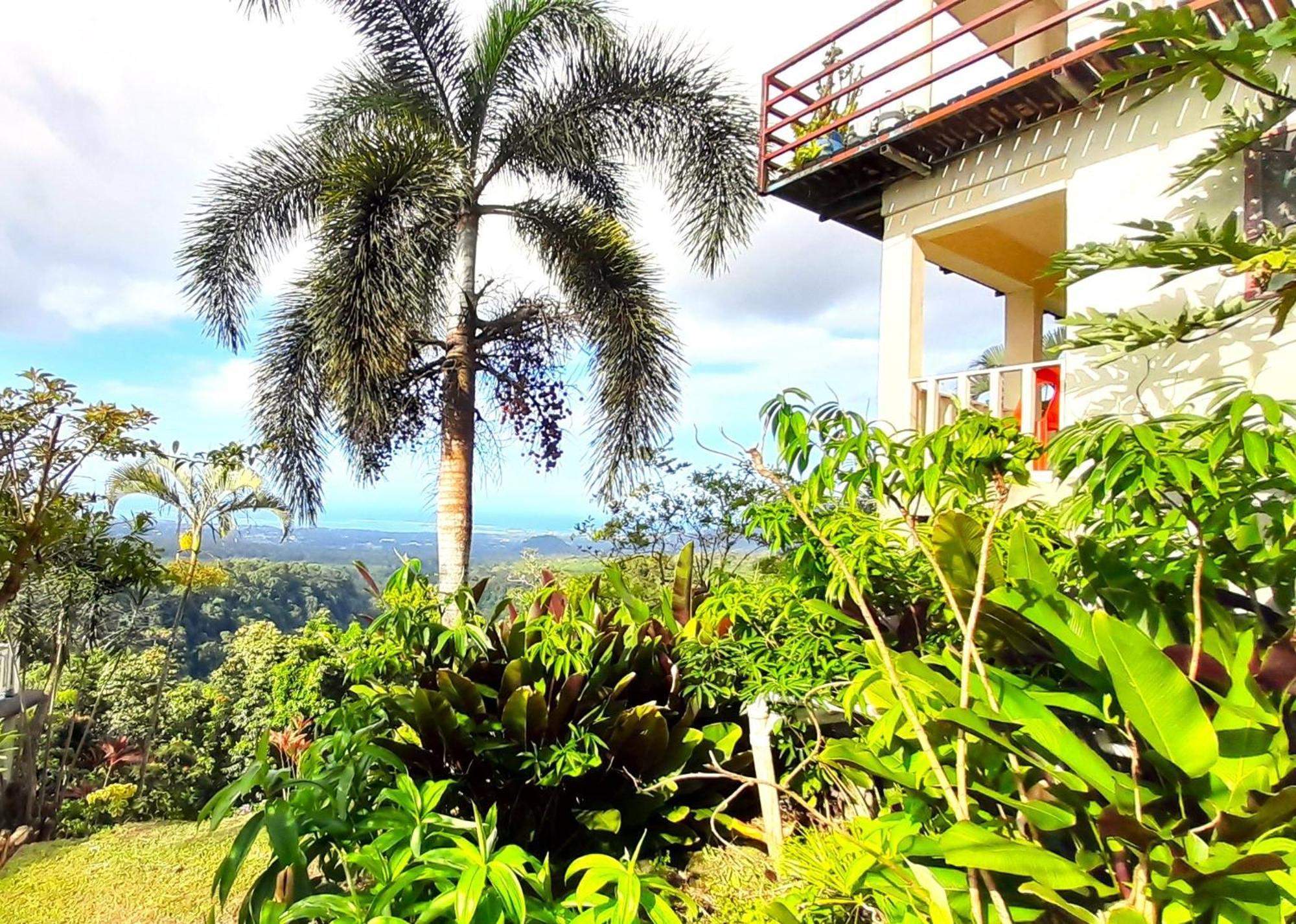Dave Parker Eco Lodge Hotel Apia Esterno foto