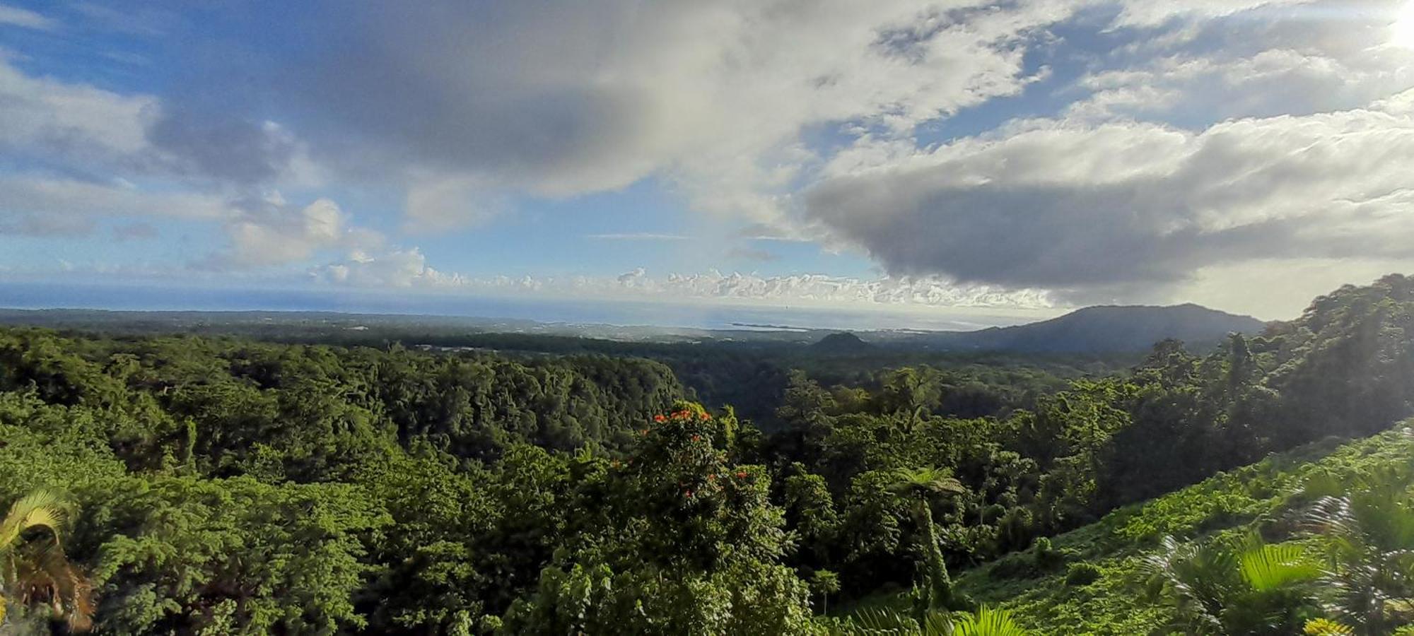 Dave Parker Eco Lodge Hotel Apia Esterno foto