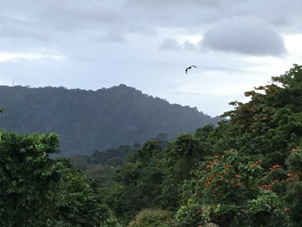 Dave Parker Eco Lodge Hotel Apia Esterno foto