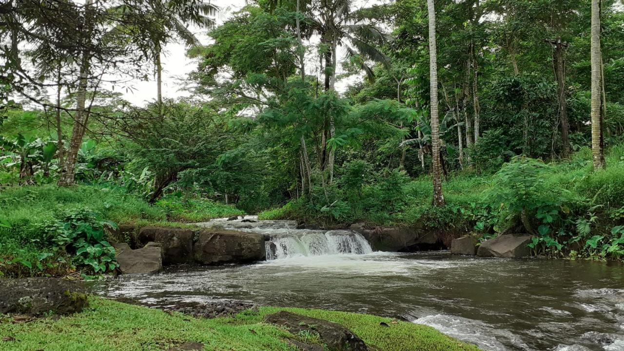 Dave Parker Eco Lodge Hotel Apia Esterno foto